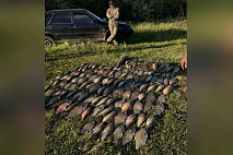 В Саратовской области у двух браконьеров изъяли 129 килограммов рыбы