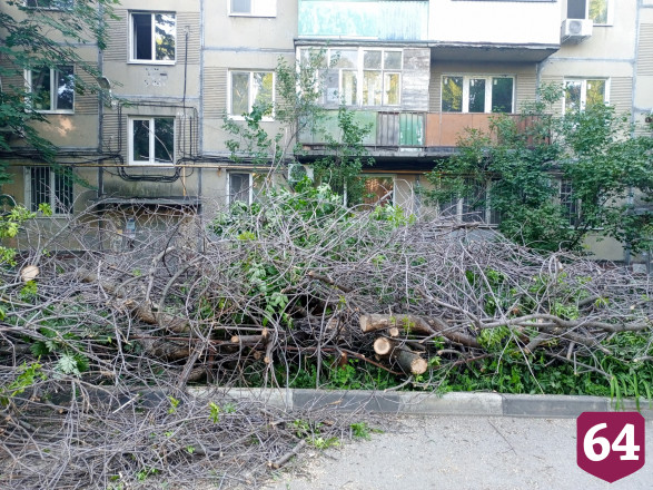 В Саратове подход к подъезду завалили спиленными деревьями